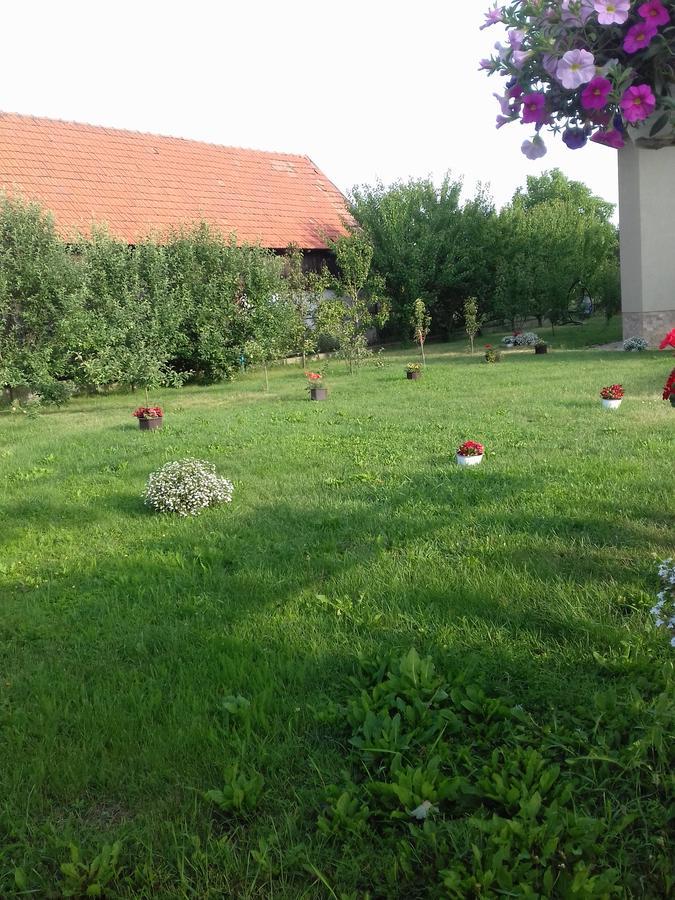 Pensiunea Abel Hotel Mihai Viteazu  Екстериор снимка