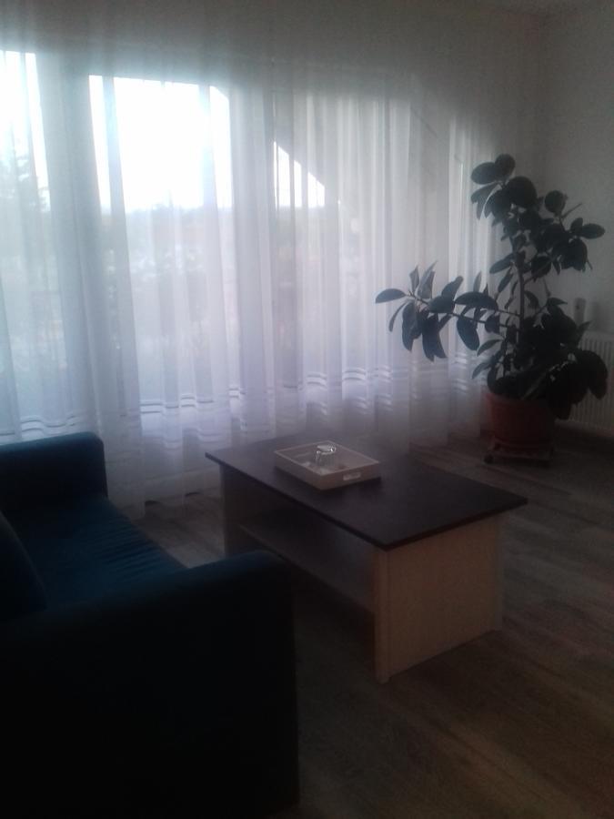 Pensiunea Abel Hotel Mihai Viteazu  Екстериор снимка
