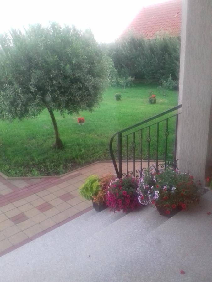 Pensiunea Abel Hotel Mihai Viteazu  Екстериор снимка
