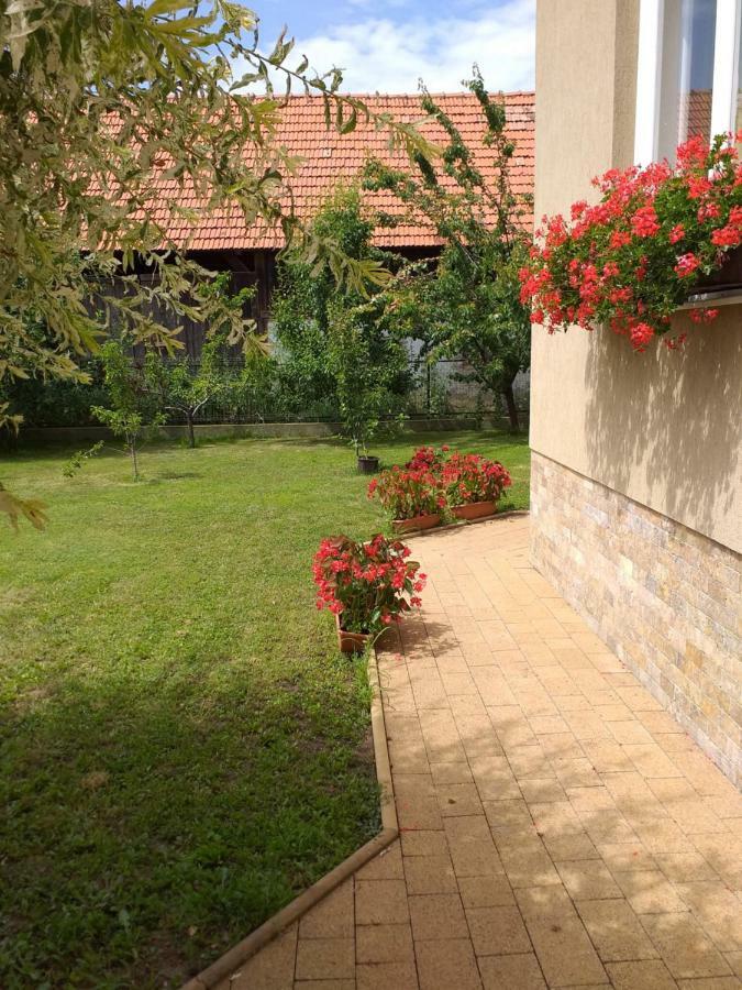 Pensiunea Abel Hotel Mihai Viteazu  Екстериор снимка
